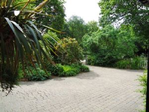 Photo 6- click for photo gallery